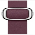 Apple: 41mm Mulberry Modern Buckle - Small