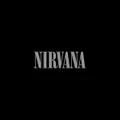 Nirvana (Vinyl)