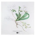 Maxwell & Williams: Royal Botanic Gardens Australian Orchids Tea Towel - White (50x70cm)