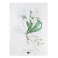 Maxwell & Williams: Royal Botanic Gardens Australian Orchids Tea Towel - White (50x70cm)