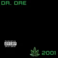 Chronic 2001 by Dr. Dre (CD)