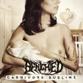 Carnivore Sublime by Benighted (CD)