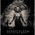 A Fallen Temple (reissue) by Septicflesh (CD)