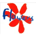 Do What You Want To, It's What You Should Do by Flowers (CD)
