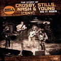 Crosby, Stills, Nash & Young - So It Goes: The Story Of (DVD)