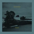 Partners by Peter Broderick (CD)