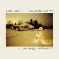 Sno Angel Like You + Sno Angel Winging It DVD by Howe Gelb (CD)