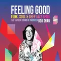 Feeling Good by Various (CD)