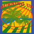 Burning Up! (4CD) by Various