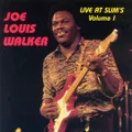 Live At Slim's - Volume 1 by Joe Louis Walker (CD)