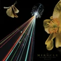 The Strife Of Love In A Dream by Miracle (CD)