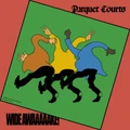 Wide Awake! by Parquet Courts (CD)