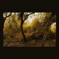 Fallen Trees by LUBOMYR (CD)