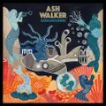 Aquamarine by Ash Walker (CD)