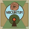 Let It All In by Arbouretum (CD)