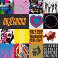 Sell You Everything (1991-2014) by The Buzzcocks (CD)