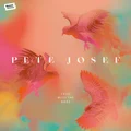 I Rise With The Birds by Pete Josef (CD)