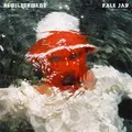 Bewilderment by Pale Jay (CD)