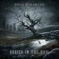 Buried In The Hail by Dom Martin (CD)