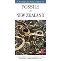 A Photographic Guide To Fossils Of New Zealand