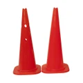 Ace Sports 18” Marker Cone with Holes
