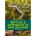 A Naturalist's Guide To The Reptiles & Amphibians Of New Zealand By Samuel Purdie