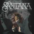 Jungle Strut - Live by Santana (CD)