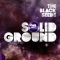 Solid Ground by The Black Seeds (CD)