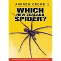 Which New Zealand Spider? By Andrew Crowe