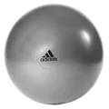 Adidas: Gymball (55cm)