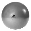 Adidas: Gymball (55cm)