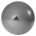 Adidas: Gymball (75cm)