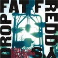 Live At The Matterhorn by Fat Freddy's Drop (CD)