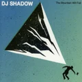The Mountain Will Fall by DJ Shadow (CD)