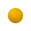 Ace Sports: Plastic Cricket Ball
