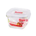 Lock n Lock Glass Euro Square Container