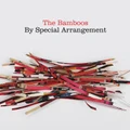 By Special Arrangement by The Bamboos (CD)