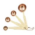 Academy: Copper Plated Measuring Spoons