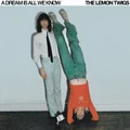 A Dream Is All We Know by The Lemon Twigs (CD)