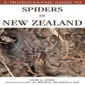 Photographic Guide To Spiders Of New Zealand By Cor Vink