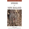 Photographic Guide To Spiders Of New Zealand By Cor Vink