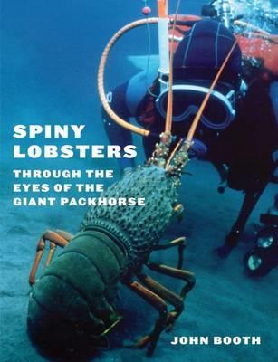 Spiny Lobsters: Through The Eyes Of The Giant Packhorse By John Booth