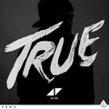 True by Avicii (Vinyl)