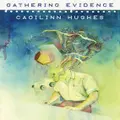 Gathering Evidence By Caoilinn Hughes