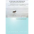 Untethered Soul: The Journey Beyond Yourself By Michael A. Singer