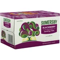 Somersby Blackberry Bottle 330mL