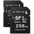 ANGELBird Match Pack SD for Panasonic EVA1 256GB | 2 PACK