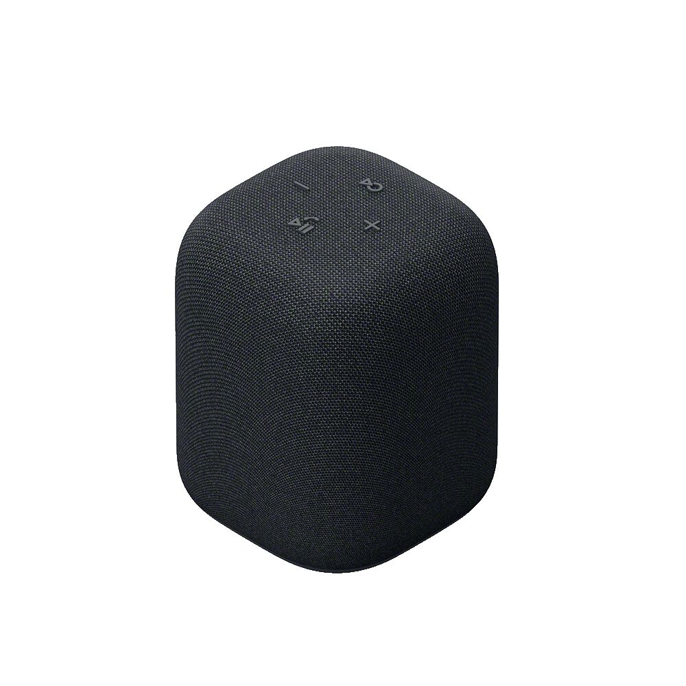 LinkBuds Speaker (Black)