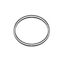 Jandy PlusHP Lid O-ring # R0449100