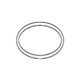 Jandy FloPro FHPM Lid O-ring # R0480200